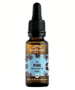 Pin sylvestre - Pine (n°24) BIO, 20 ml